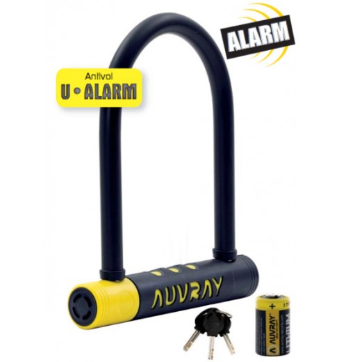 bicycle alarm lock