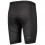 SCOTT sous short vélo homme TRAIL UNDERWEAR PRO +++ 2025