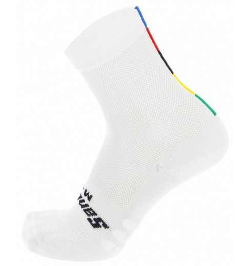 SANTINI chaussettes vélo Champion du Monde 2023