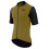 ASSOS MILLE GTO C2 short sleeve cycling jersey